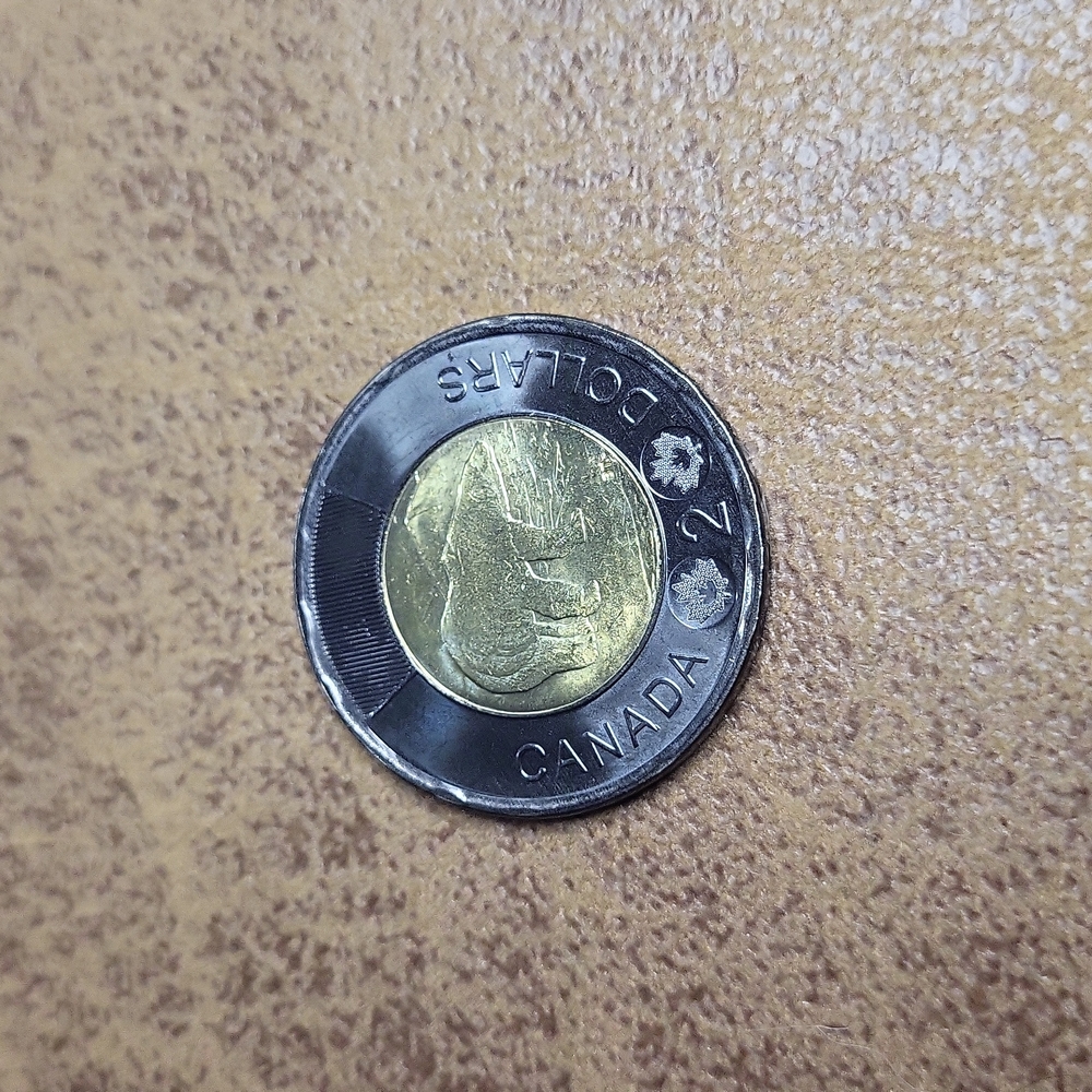 1 Black Toonie • $2 • Honouring Queen Elizabeth II • Super Rare • Uncirculat… - Picture 4 of 6